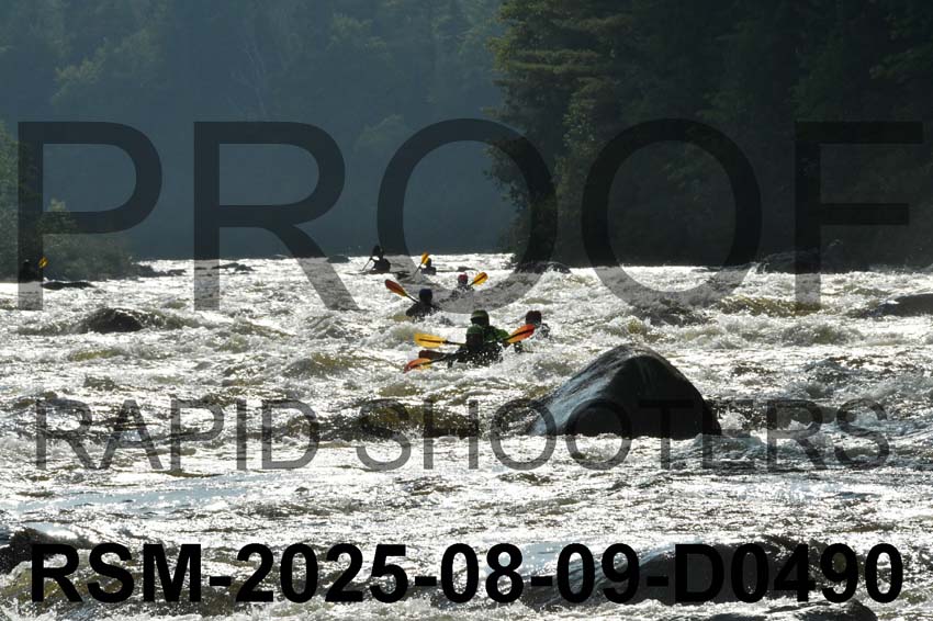RSM-2025-08-09-D0490