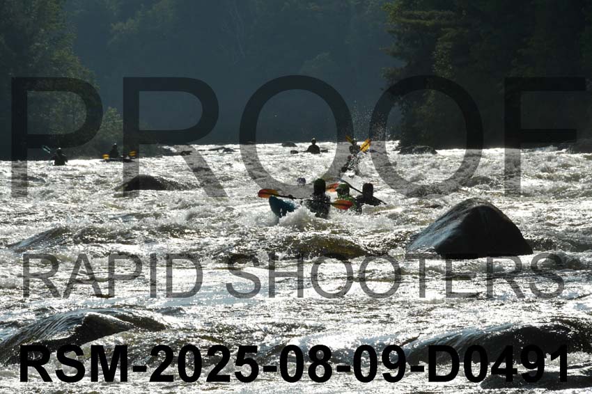 RSM-2025-08-09-D0491