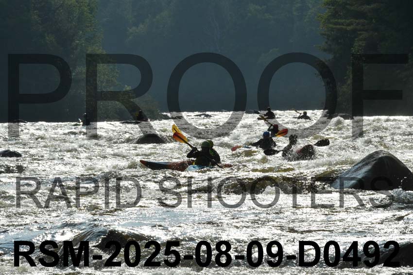 RSM-2025-08-09-D0492