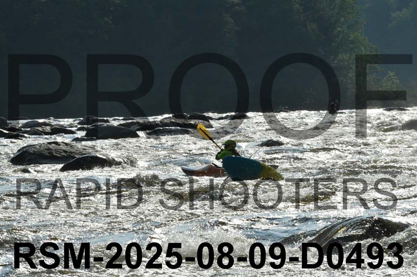 RSM-2025-08-09-D0493