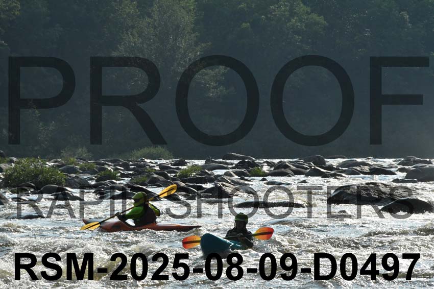 RSM-2025-08-09-D0497