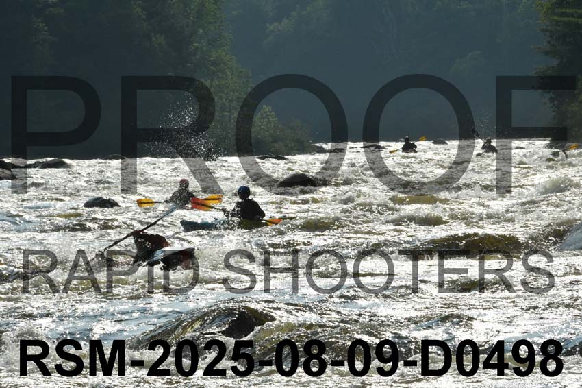 RSM-2025-08-09-D0498