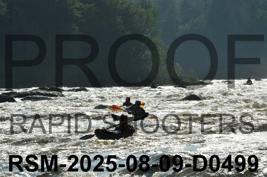 RSM-2025-08-09-D0499