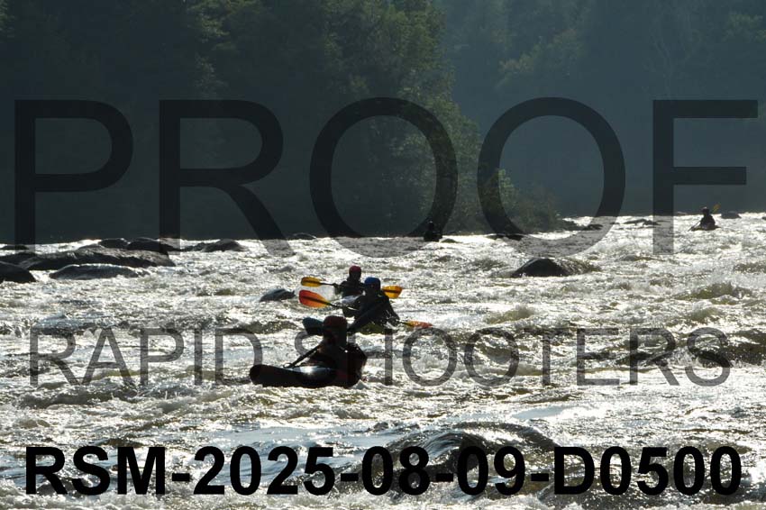 RSM-2025-08-09-D0500