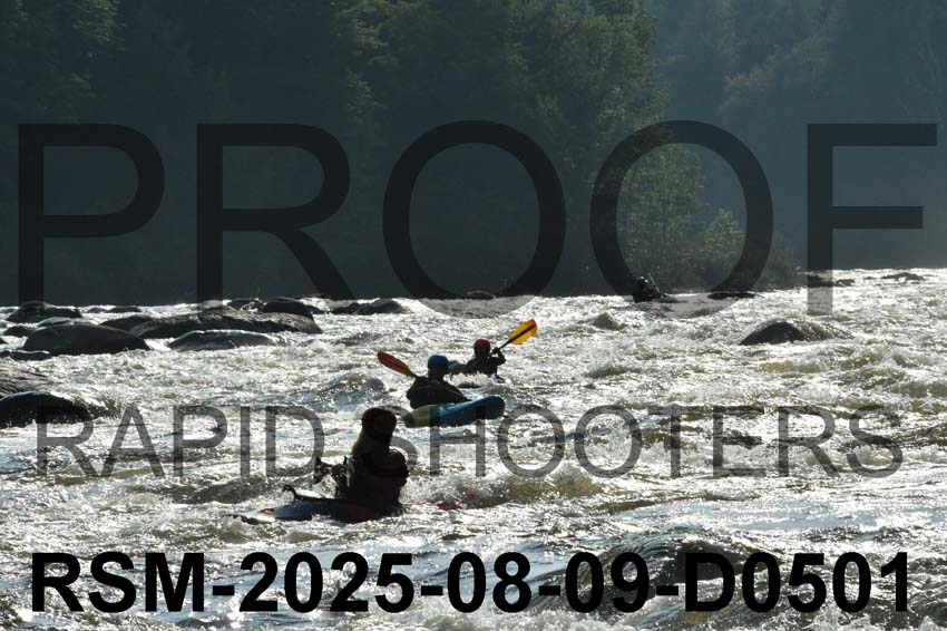 RSM-2025-08-09-D0501