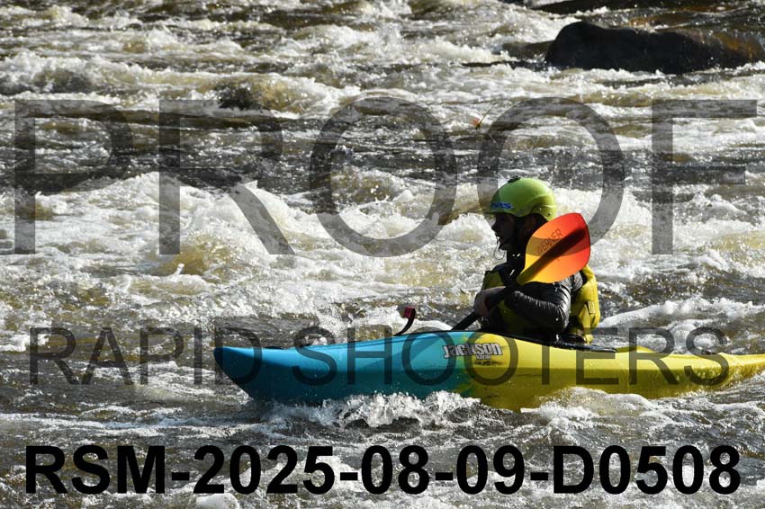 RSM-2025-08-09-D0508