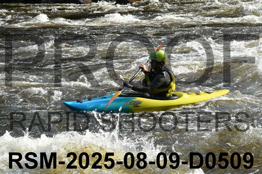 RSM-2025-08-09-D0509
