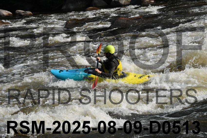 RSM-2025-08-09-D0513