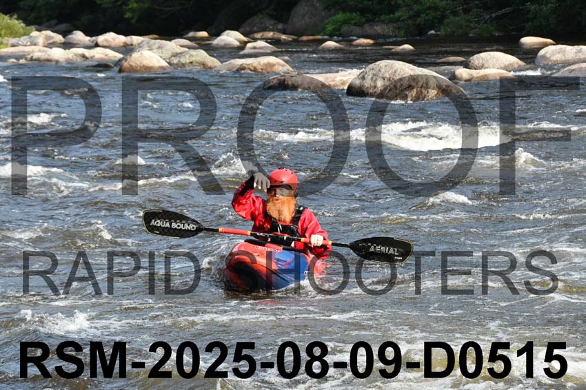 RSM-2025-08-09-D0515