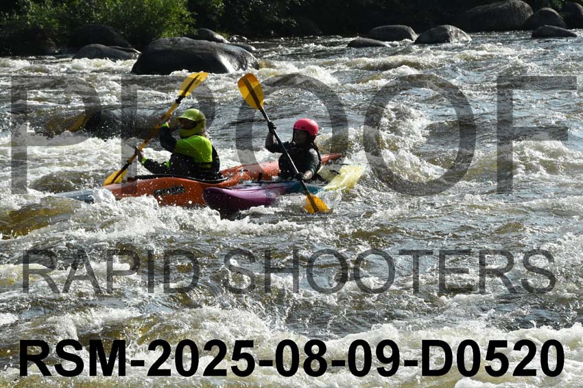RSM-2025-08-09-D0520