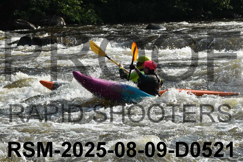 RSM-2025-08-09-D0521