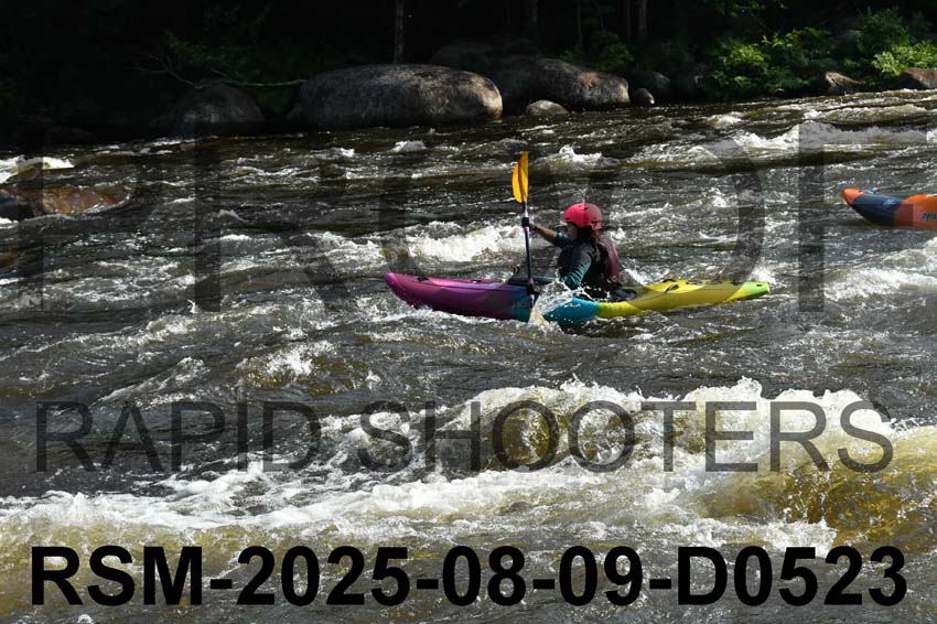 RSM-2025-08-09-D0523