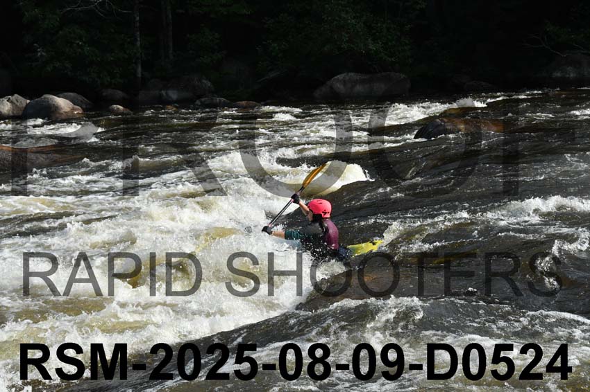RSM-2025-08-09-D0524