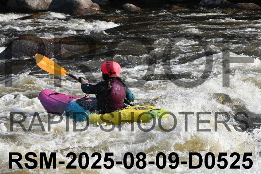 RSM-2025-08-09-D0525