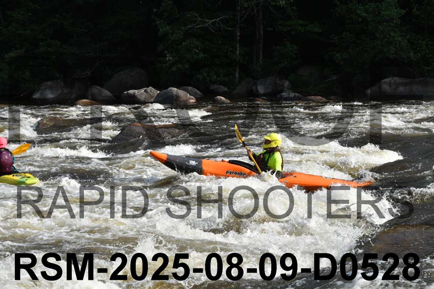 RSM-2025-08-09-D0528