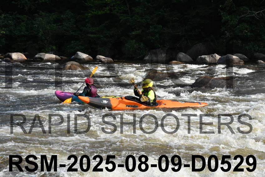 RSM-2025-08-09-D0529