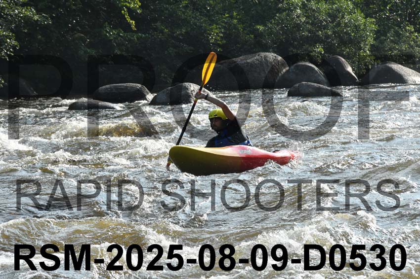 RSM-2025-08-09-D0530