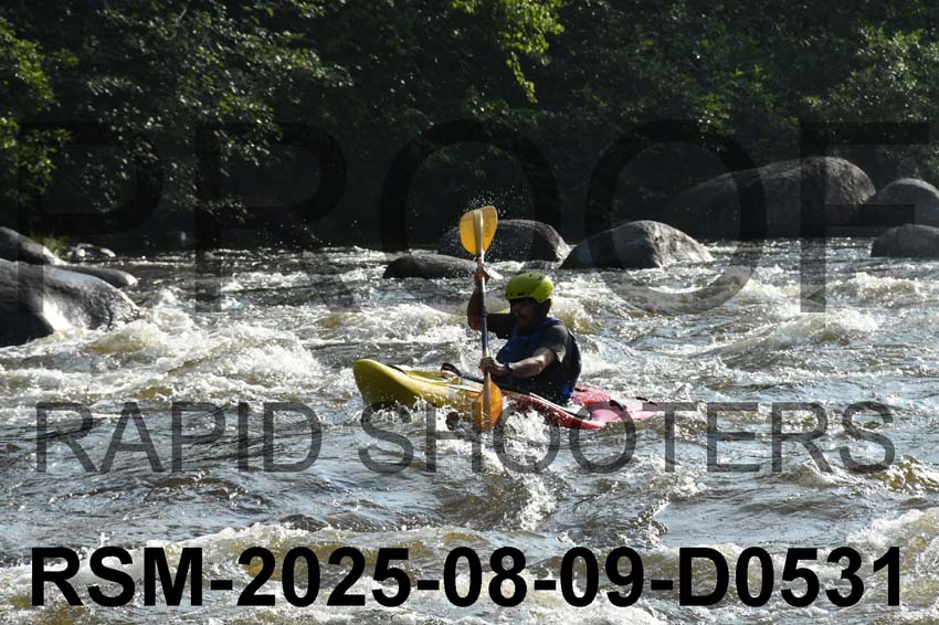 RSM-2025-08-09-D0531