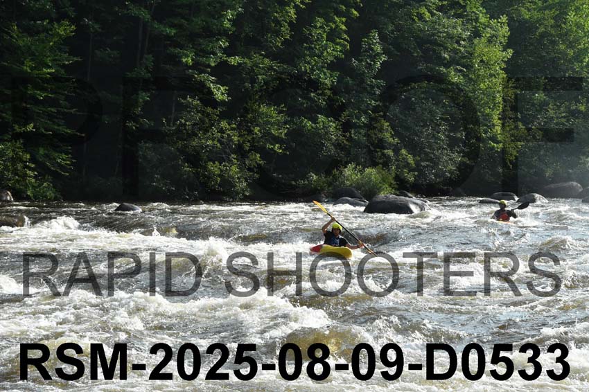RSM-2025-08-09-D0533