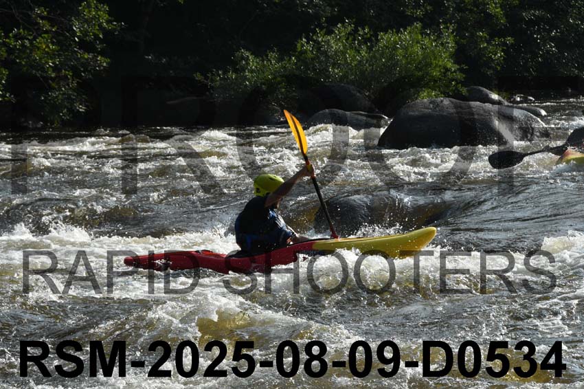 RSM-2025-08-09-D0534