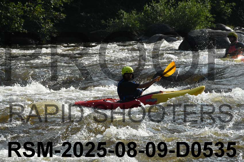 RSM-2025-08-09-D0535