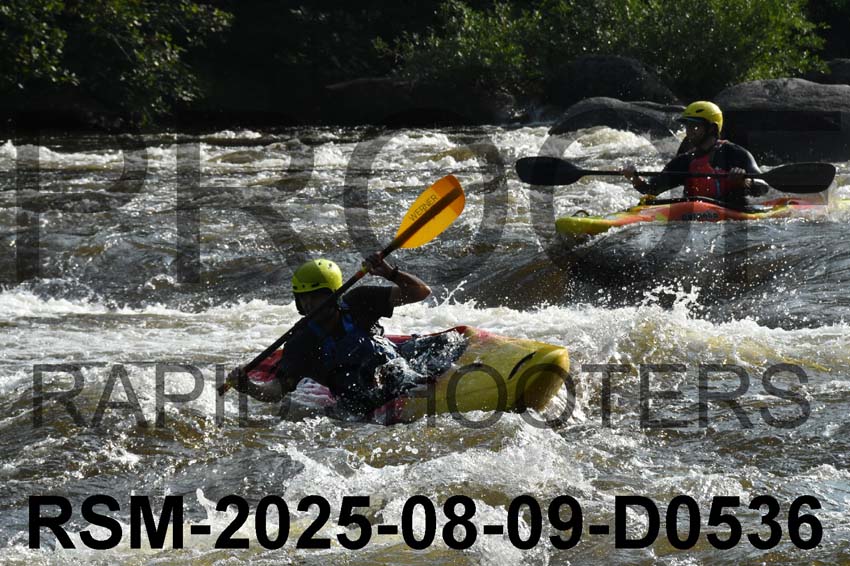 RSM-2025-08-09-D0536
