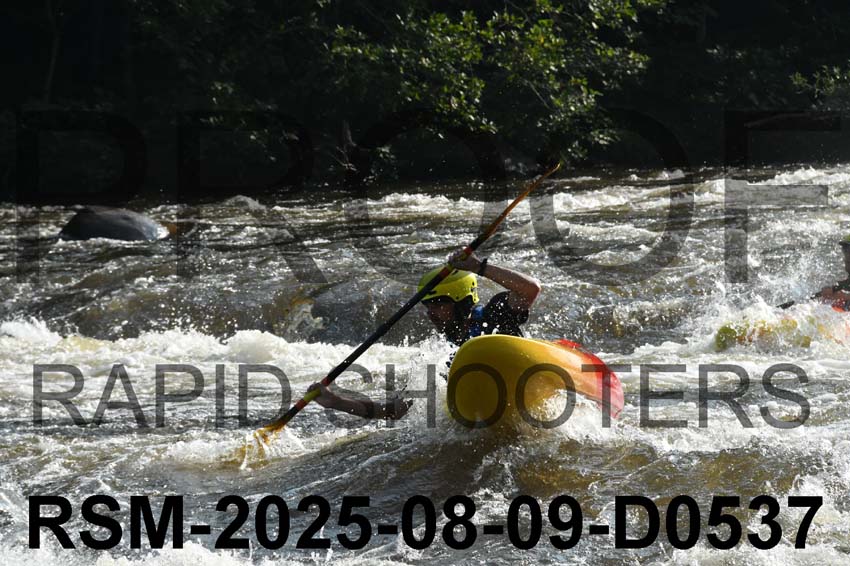 RSM-2025-08-09-D0537
