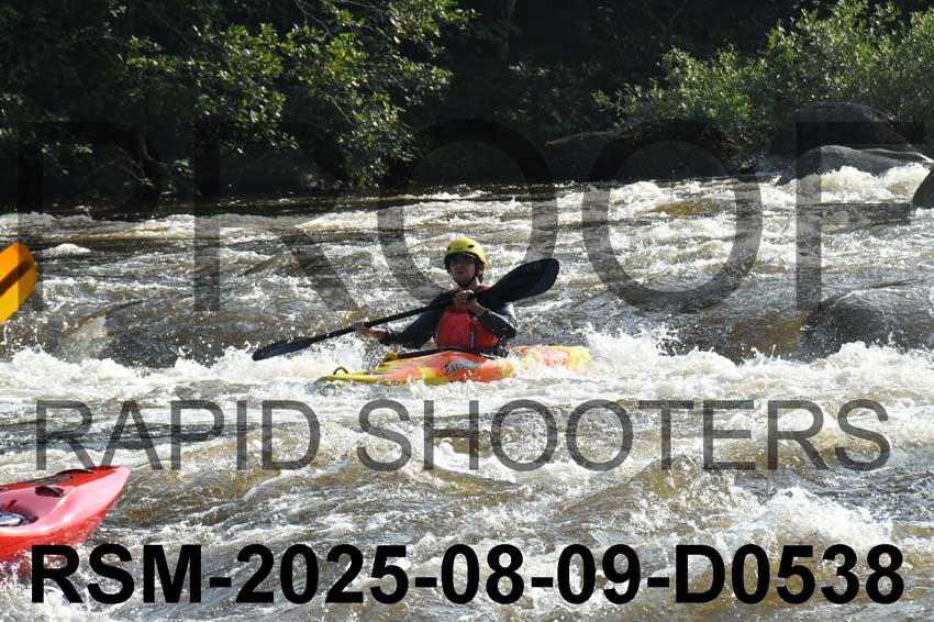 RSM-2025-08-09-D0538