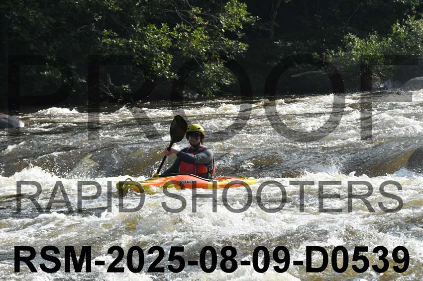 RSM-2025-08-09-D0539