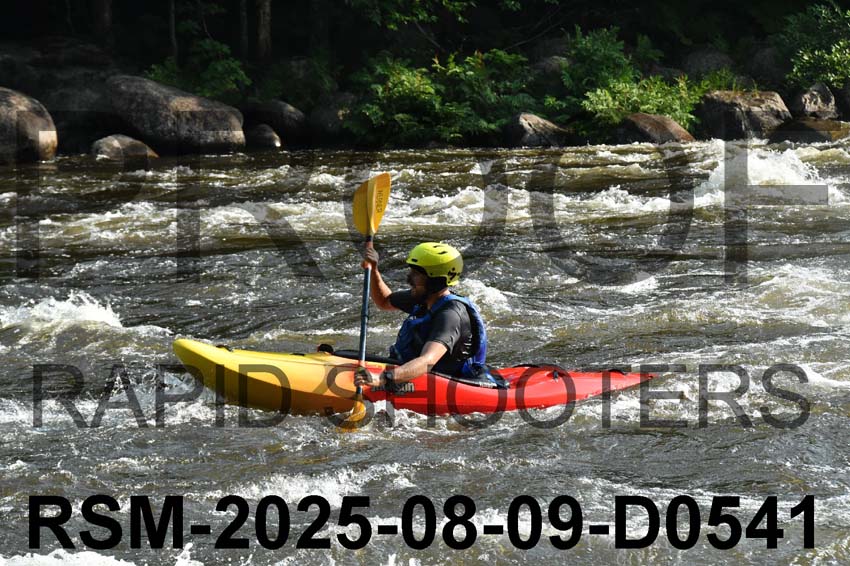 RSM-2025-08-09-D0541