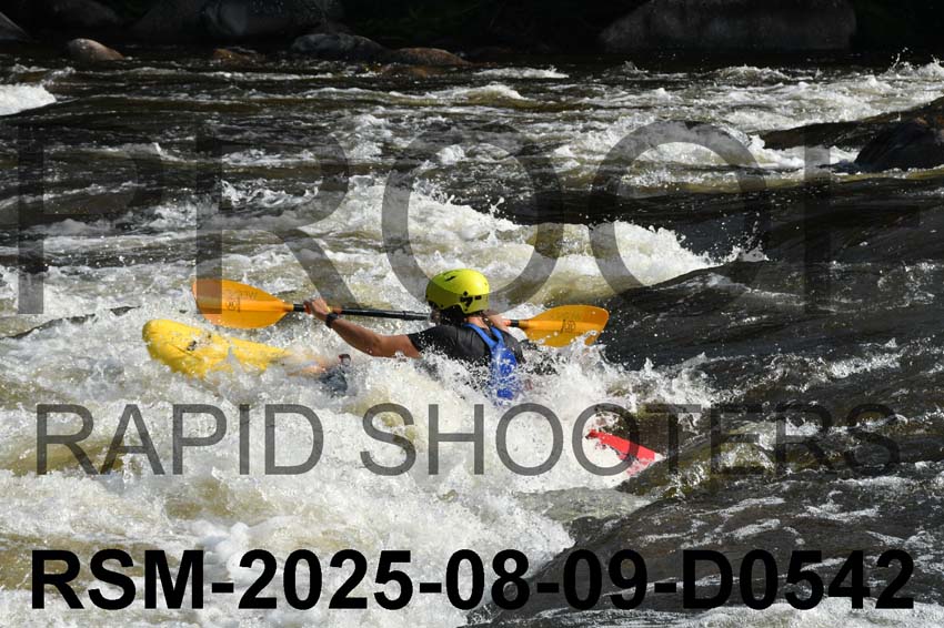 RSM-2025-08-09-D0542