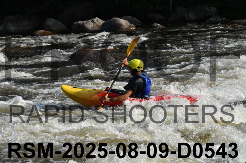 RSM-2025-08-09-D0543