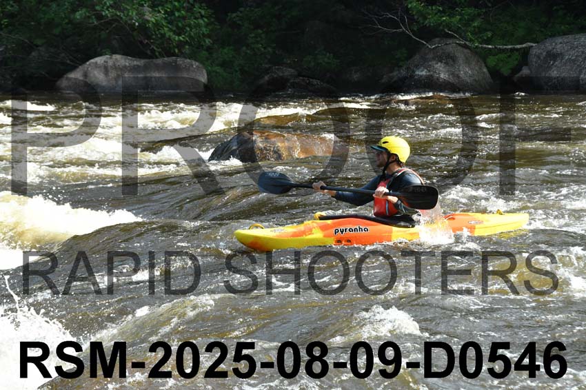RSM-2025-08-09-D0546