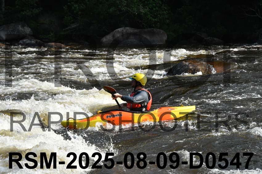 RSM-2025-08-09-D0547