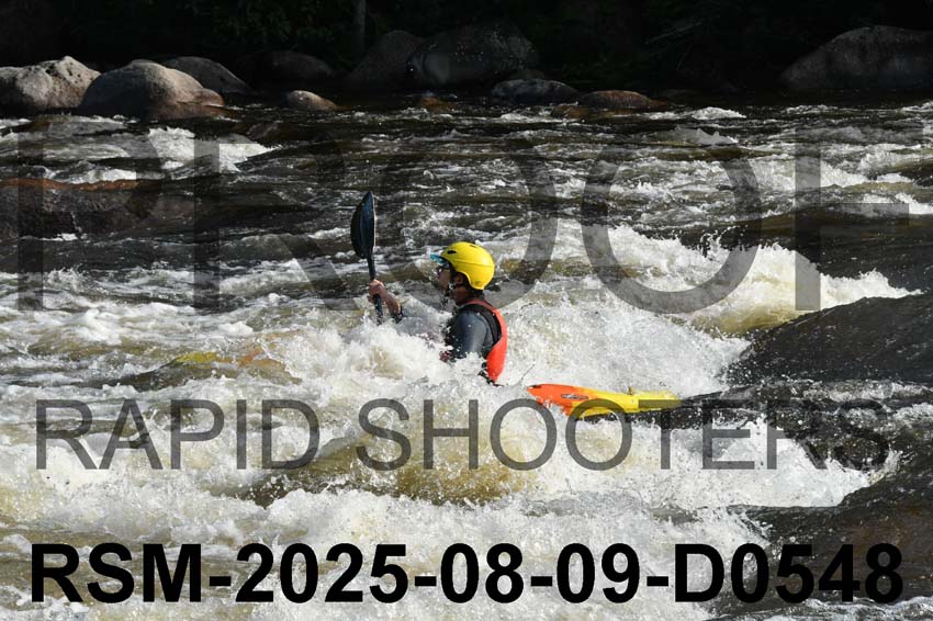 RSM-2025-08-09-D0548