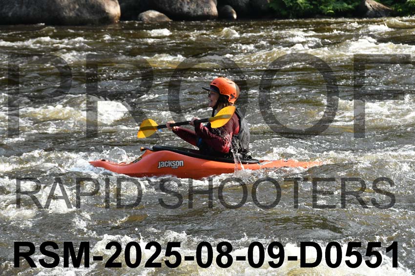RSM-2025-08-09-D0551