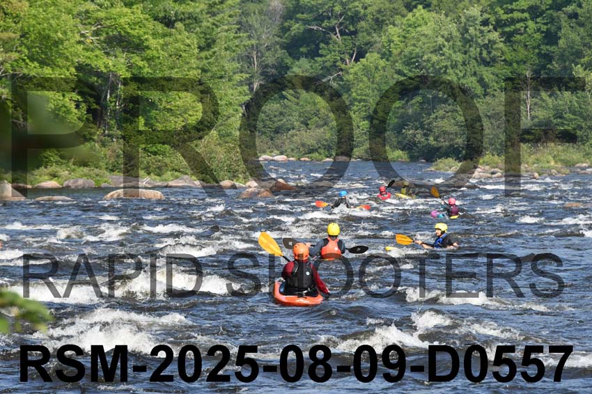 RSM-2025-08-09-D0557
