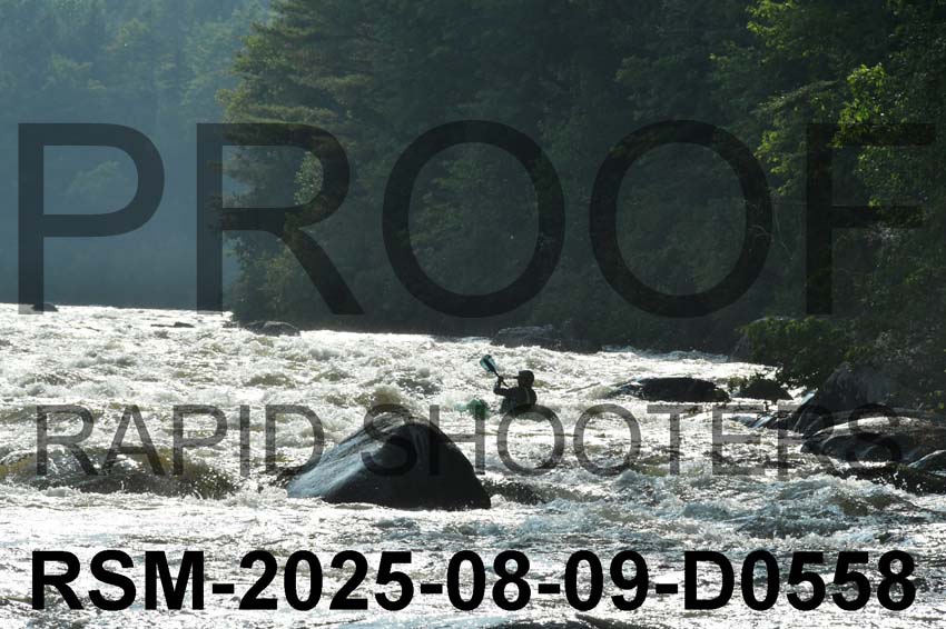 RSM-2025-08-09-D0558