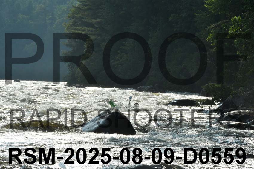 RSM-2025-08-09-D0559
