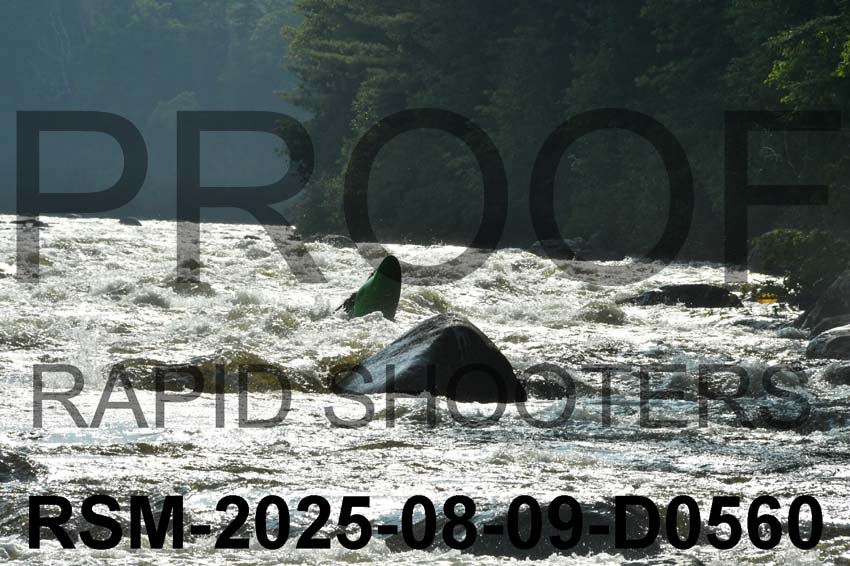 RSM-2025-08-09-D0560