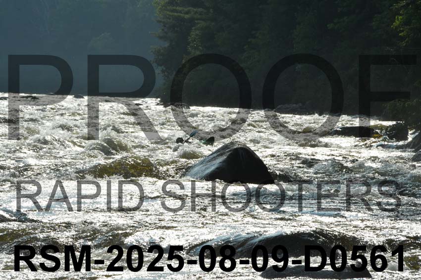 RSM-2025-08-09-D0561