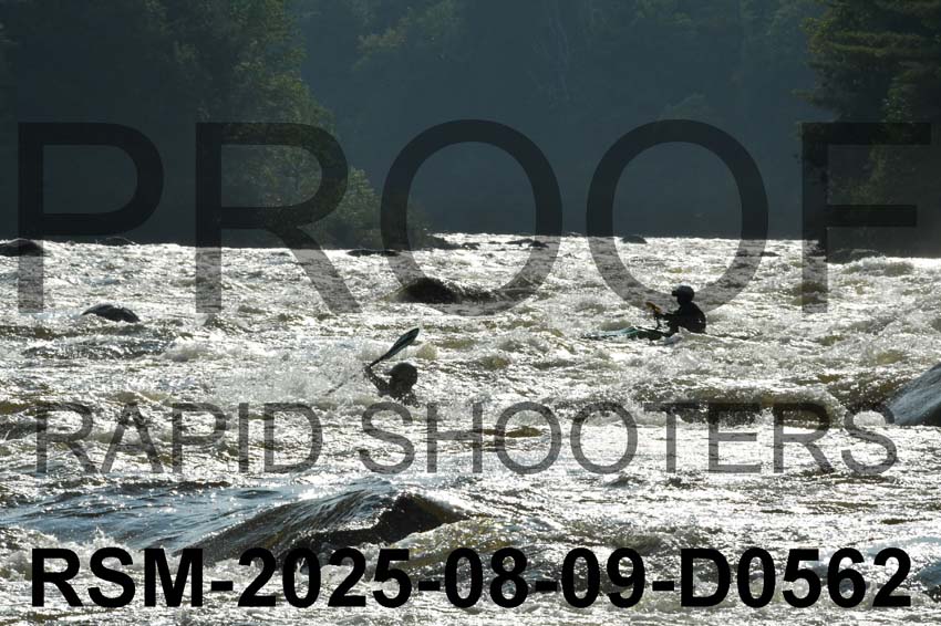 RSM-2025-08-09-D0562