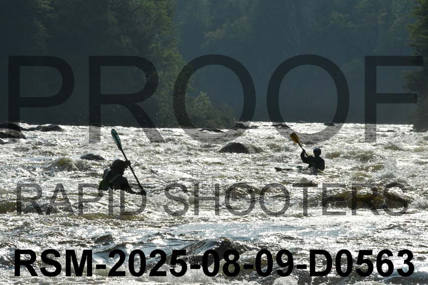 RSM-2025-08-09-D0563