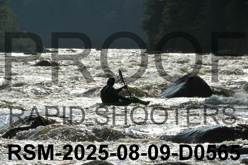 RSM-2025-08-09-D0565