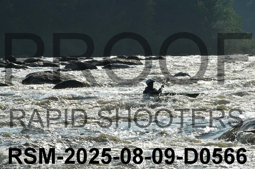 RSM-2025-08-09-D0566