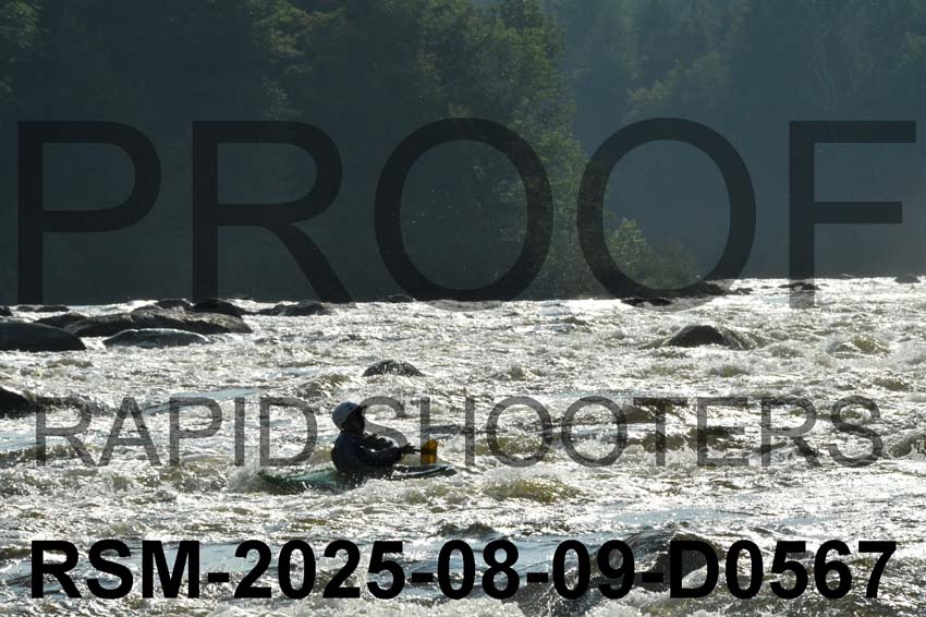 RSM-2025-08-09-D0567