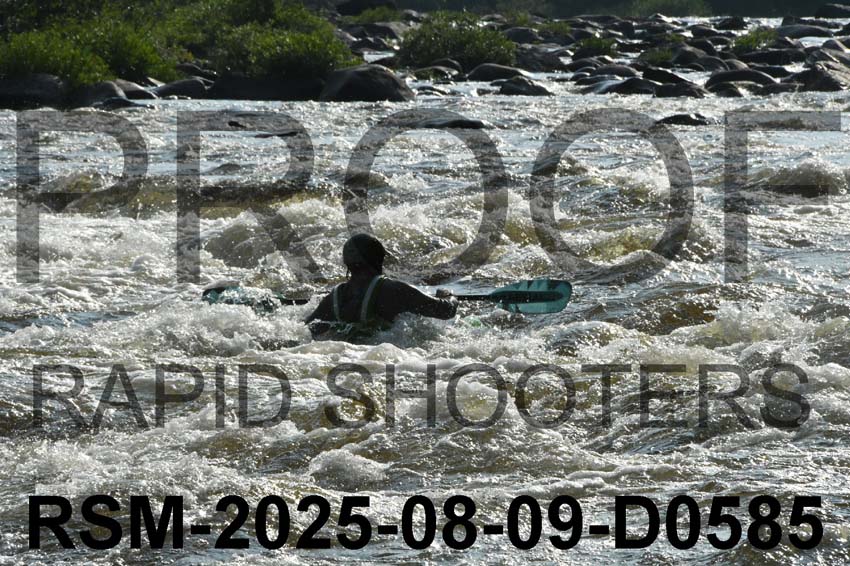 RSM-2025-08-09-D0585