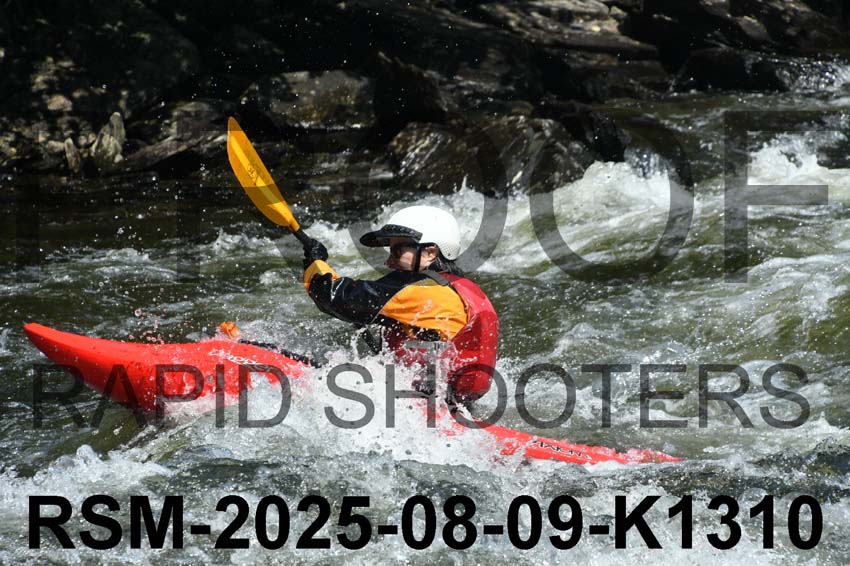 RSM-2025-08-09-K1310