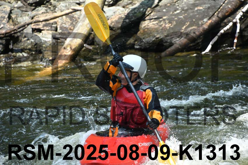 RSM-2025-08-09-K1313