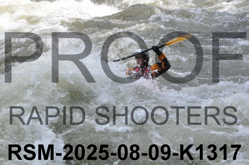 RSM-2025-08-09-K1317